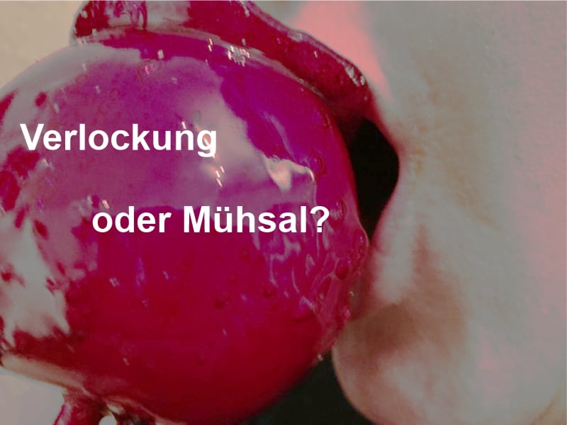 Ist Lernen Verlockung oder Mühsal?